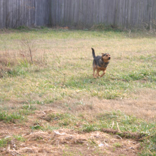 Lothar Running - Jan. 2006